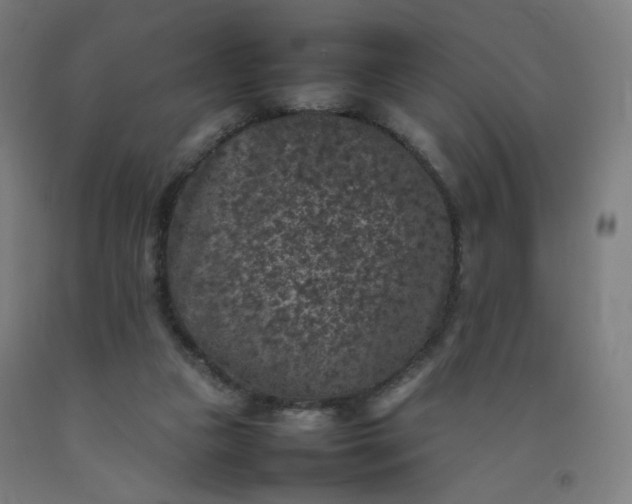 X0000092220161200709281050