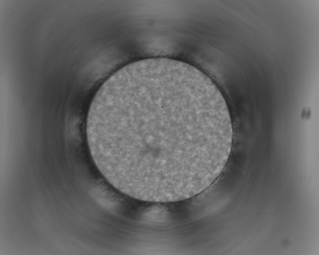 X0000092220162200709281050
