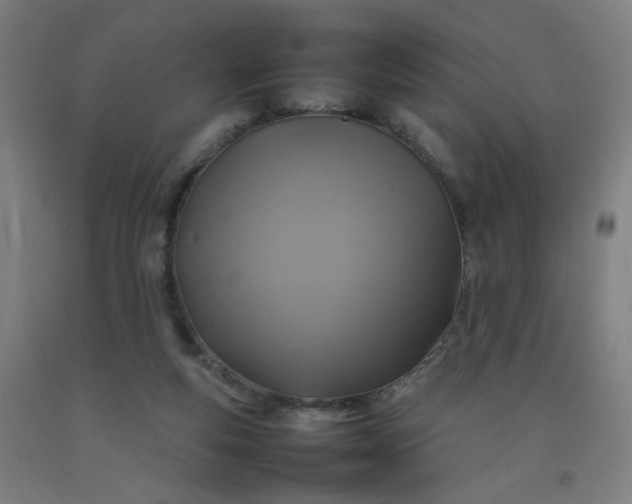 X0000092220163200709281050