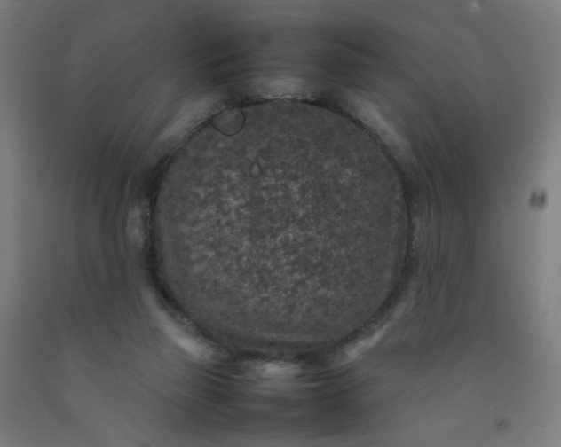X0000092220165200709281050
