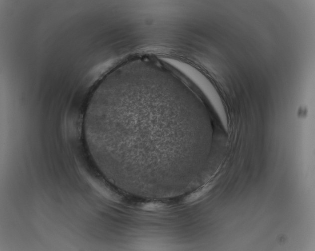 X0000092220168200709281050