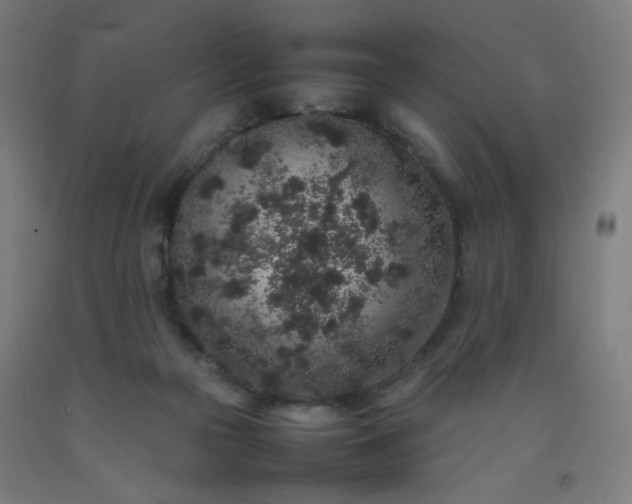 X0000092220169200709281050