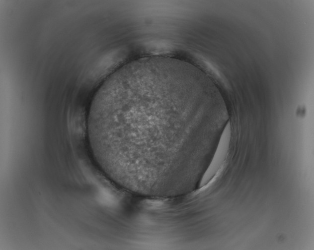 X0000092220170200709281050
