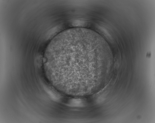 X0000092220171200709281050