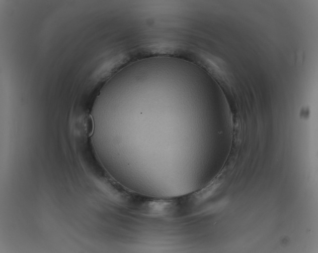 X0000092220172200709281050