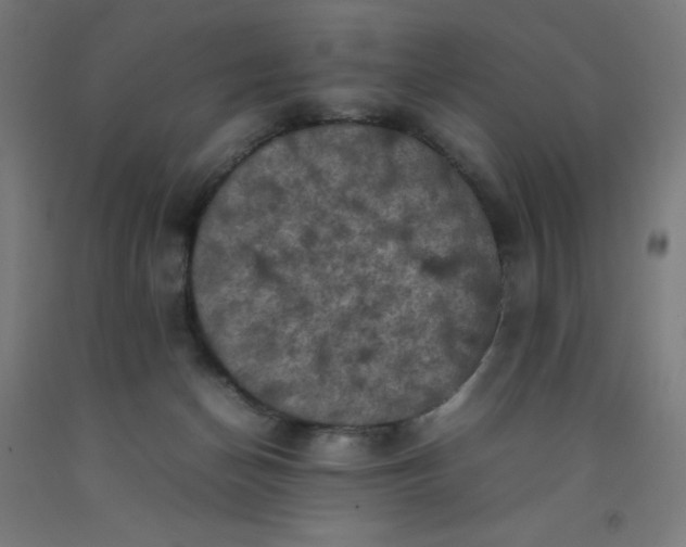 X0000092220174200709281050