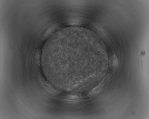 X0000092220175200709281050