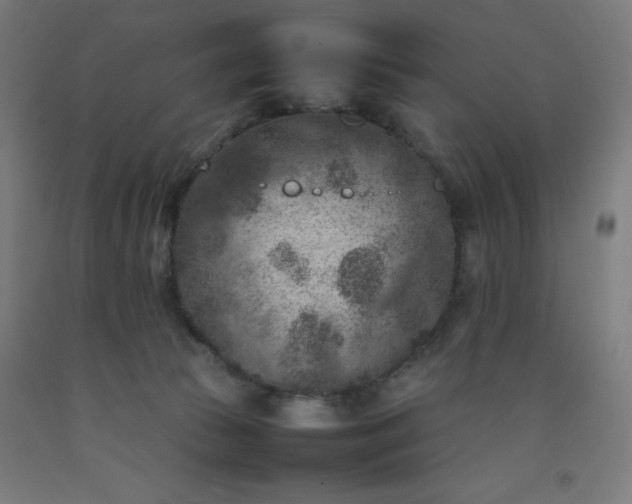 X0000092220177200709281051