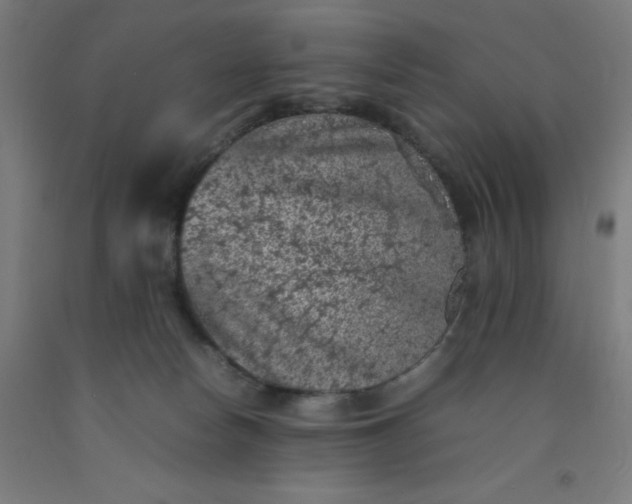 X0000092220178200709281051