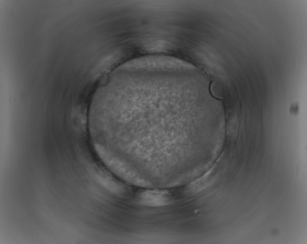 X0000092220179200709281051