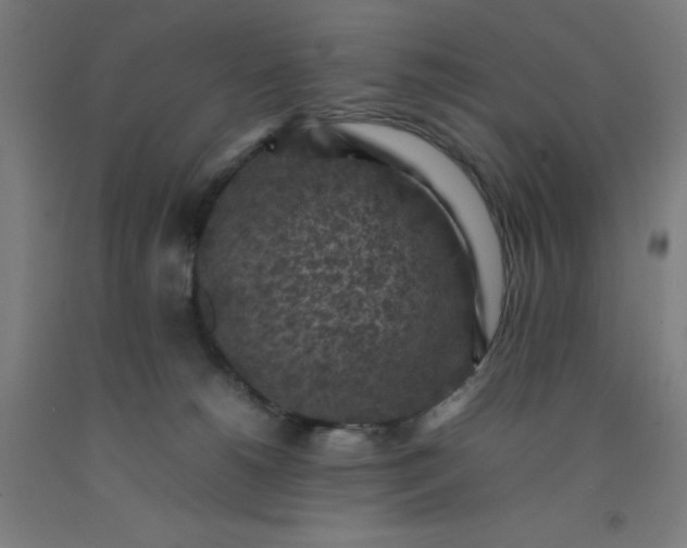 X0000092220180200709281051