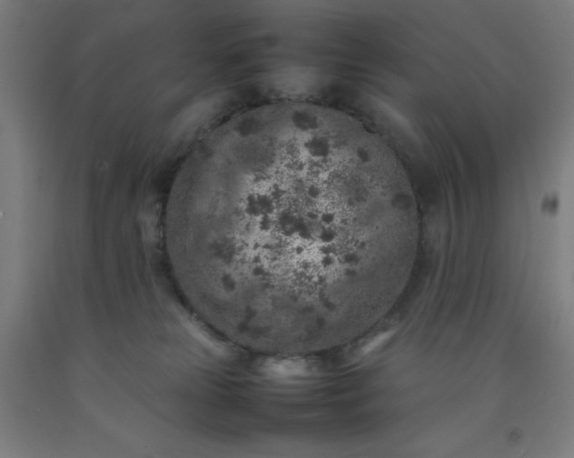 X0000092220181200709281051