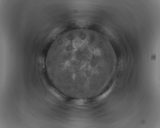 X0000092220182200709281051