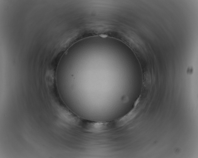 X0000092220184200709281051