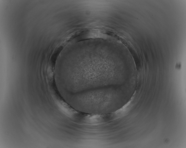 X0000092220186200709281051