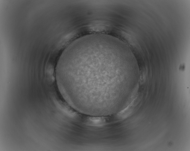 X0000092220187200709281051