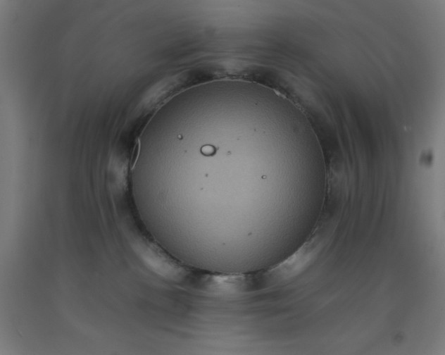 X0000092220188200709281051