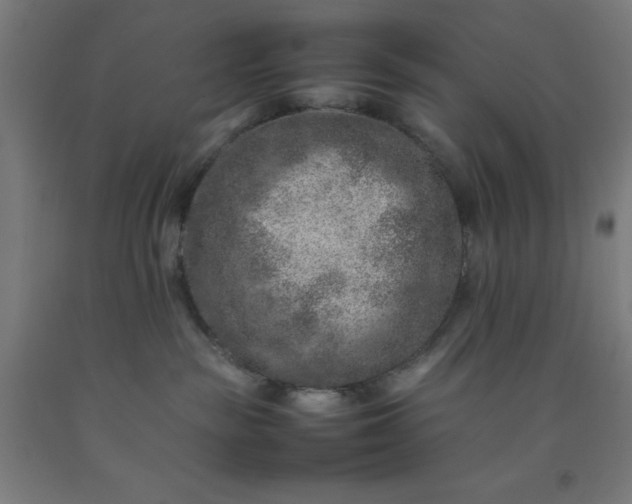 X0000092220189200709281051