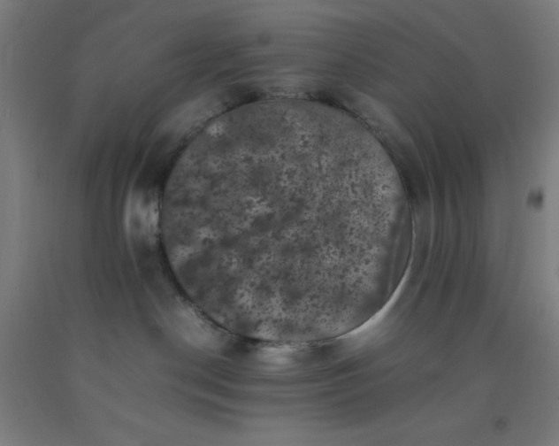 X0000092220190200709281051