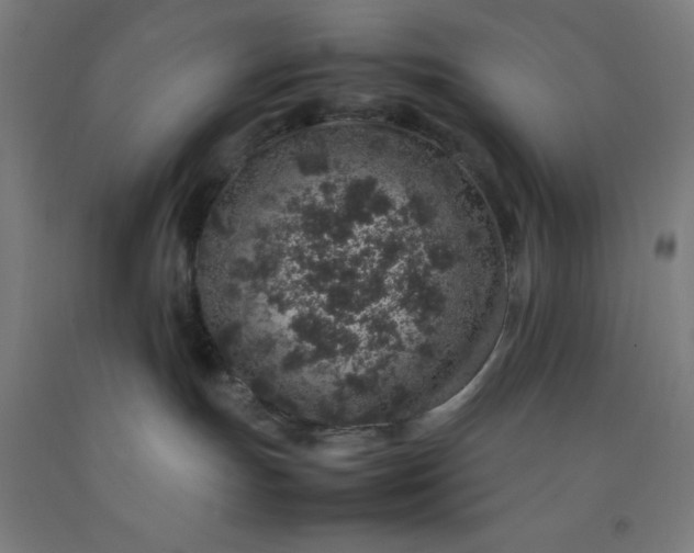 X0000092220191200709281051
