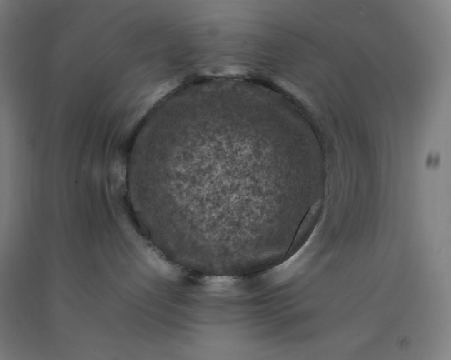 X0000092220192200709281051
