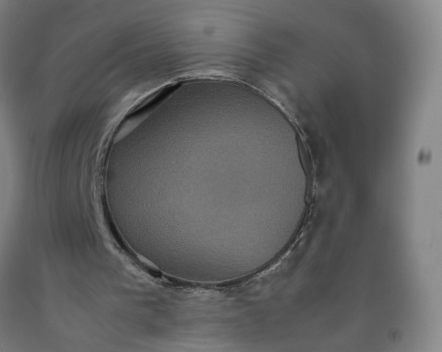 X0000092220193200709281050