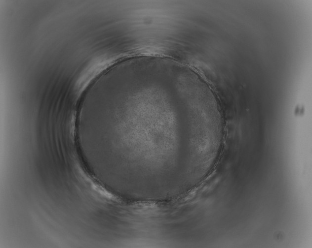 X0000092220194200709281050