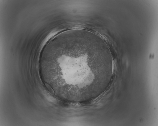 X0000092220195200709281050