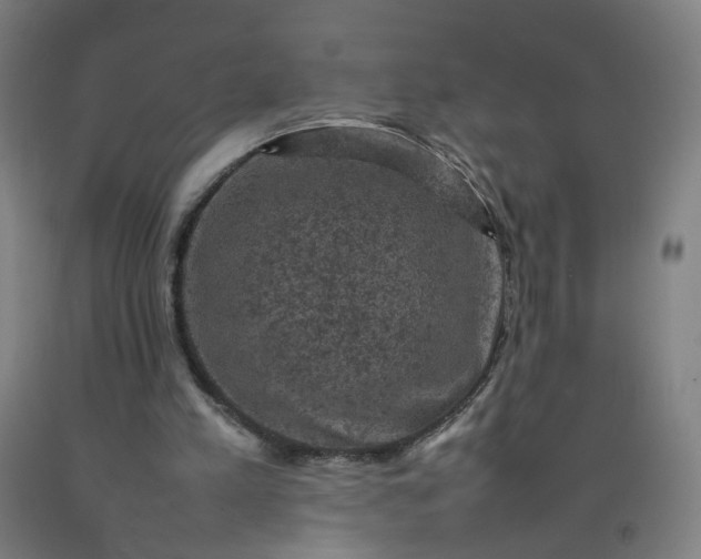 X0000092220197200709281050