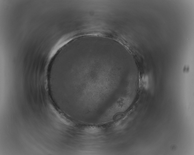 X0000092220198200709281050
