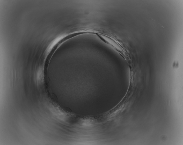 X0000092220200200709281050