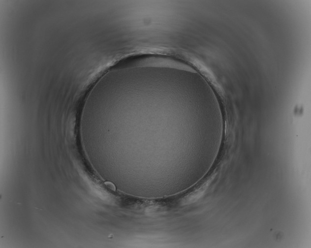 X0000092220201200709281050