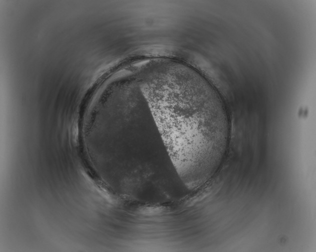 X0000092220202200709281050