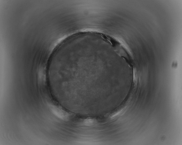 X0000092220204200709281050