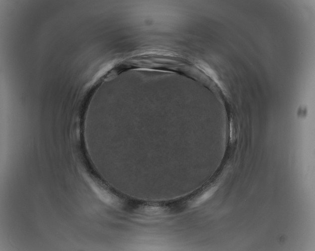 X0000092220205200709281050