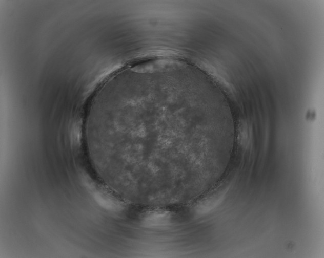 X0000092220206200709281050