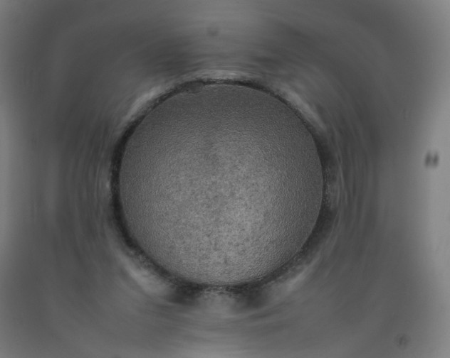 X0000092220207200709281050