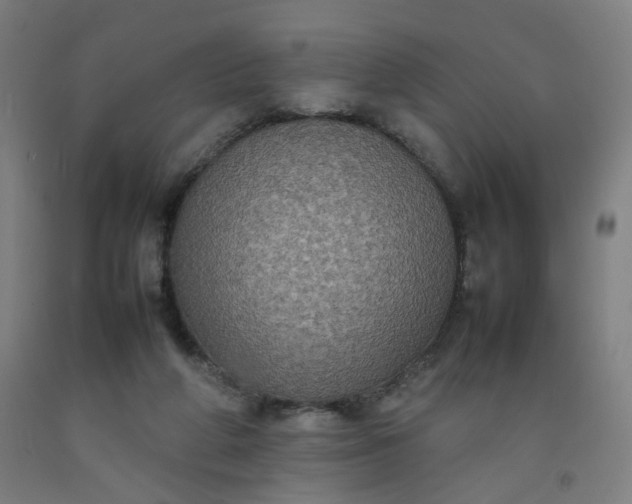 X0000092220210200709281050