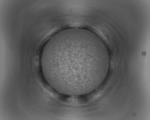 X0000092220211200709281050