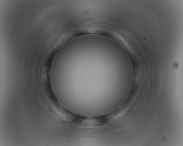 X0000092220213200709281050