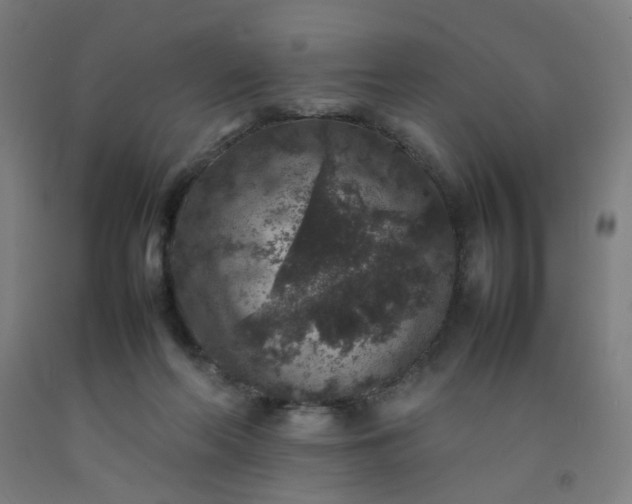 X0000092220214200709281050