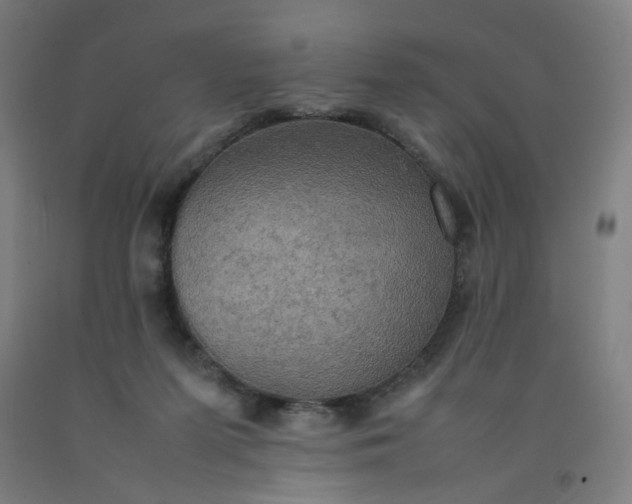 X0000092220215200709281050