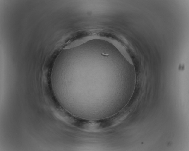X0000092220217200709281050