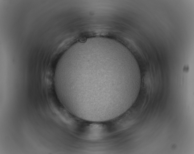 X0000092220218200709281050