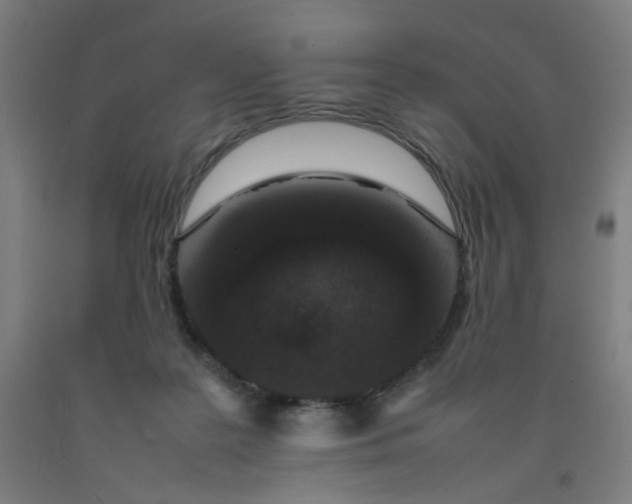 X0000092220219200709281050