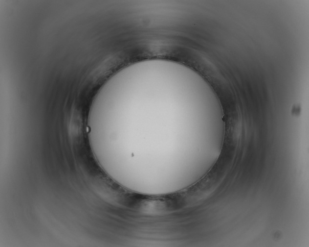 X0000092220220200709281050
