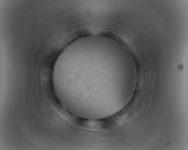 X0000092220221200709281050