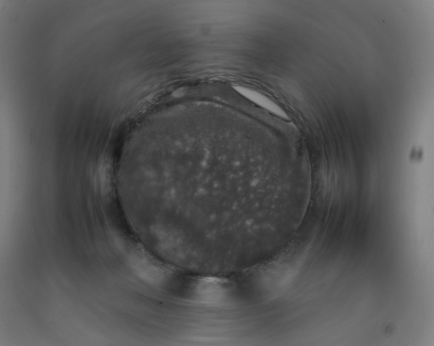 X0000092220222200709281050