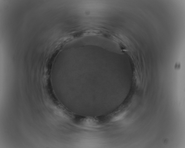 X0000092220223200709281050