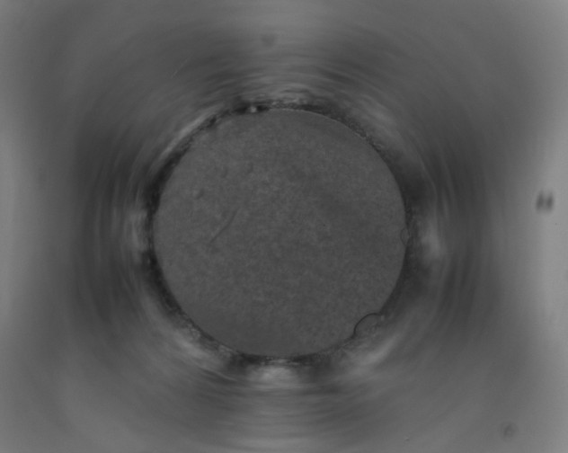 X0000092220224200709281050